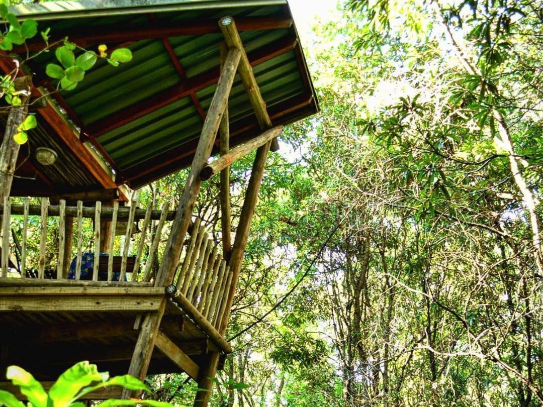 Waterbessiebos Cottage Тзанеен Экстерьер фото